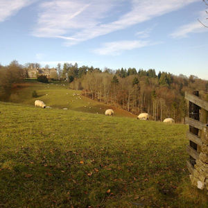 walk at Miserden